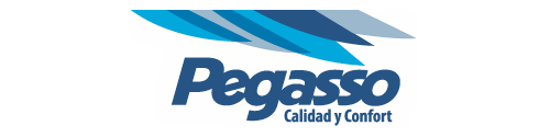 pegasso